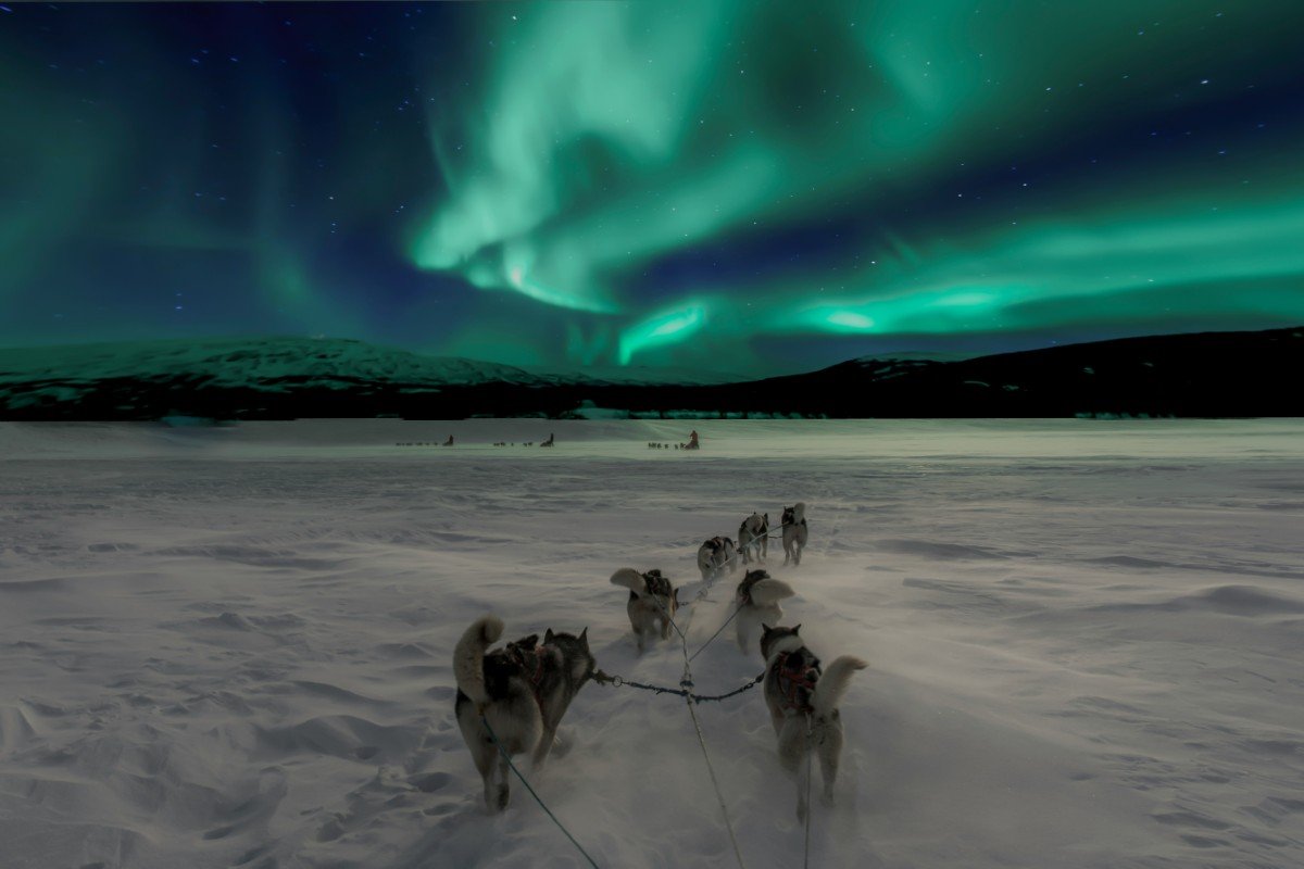Husky Sledding & Snow Safaris