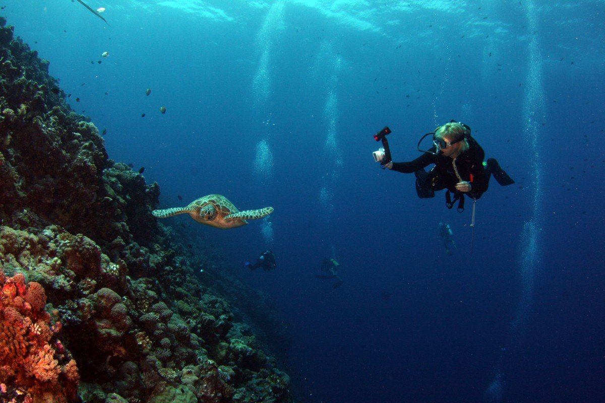 Marine & Ocean Experiences