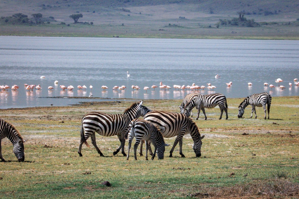 Ngorongoro Crater