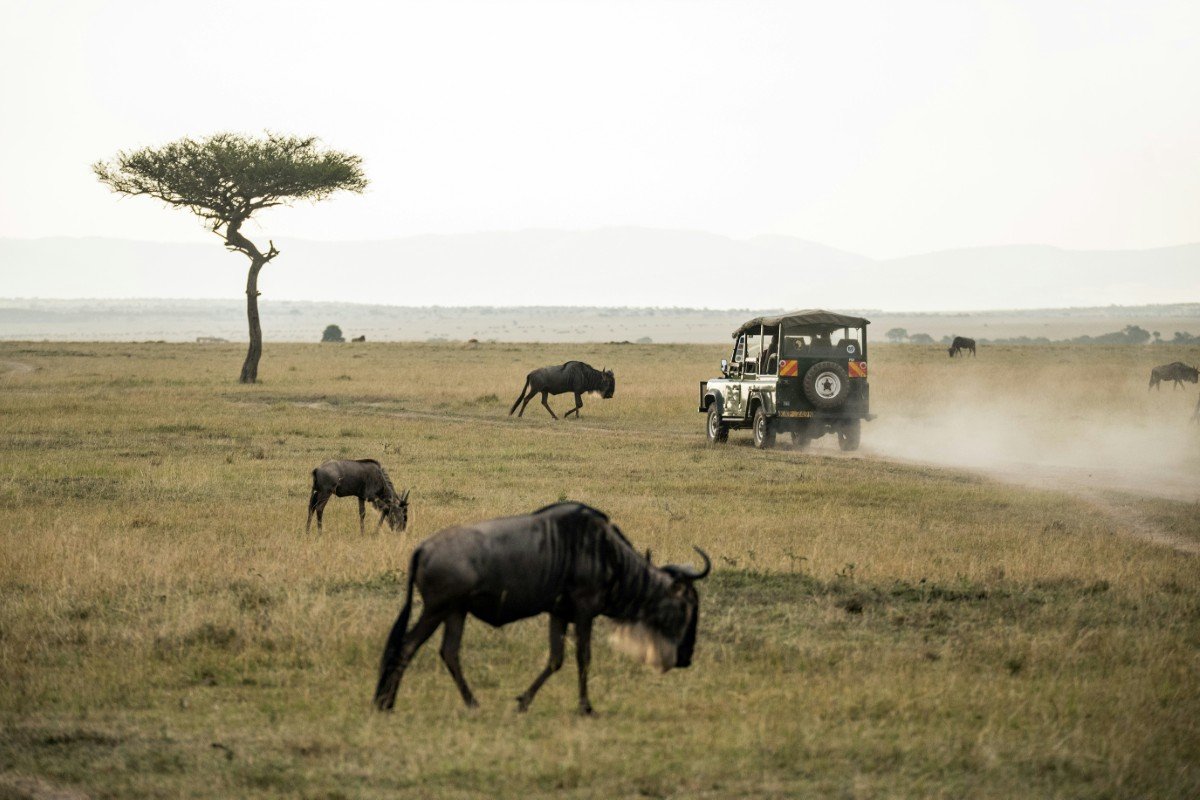 Private Game Drives