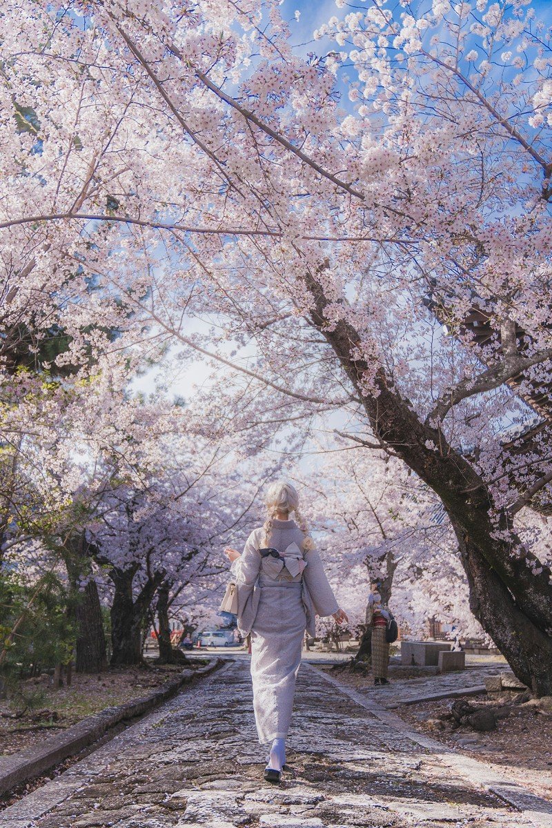 Signature moment Cherry Blossom Season