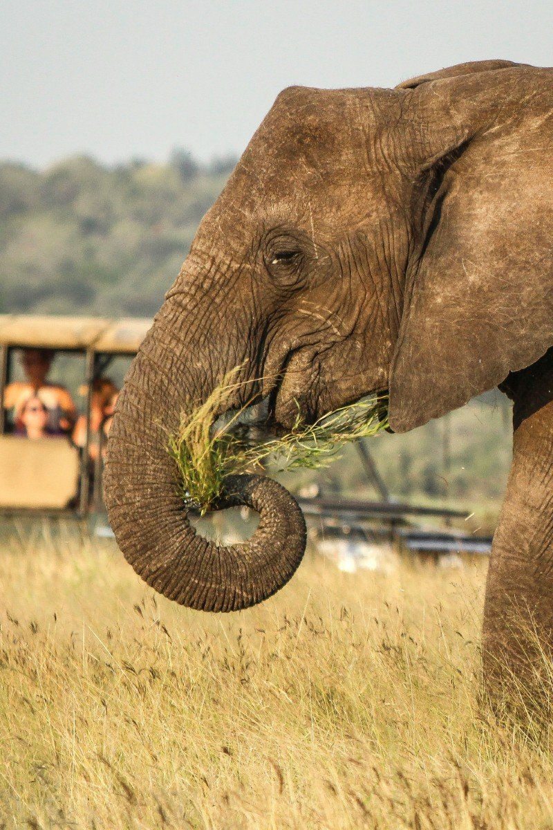 Signature moment Kruger Safari Experiences