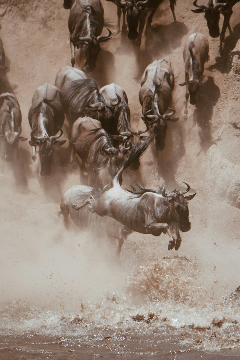 Signature moment The Great Migration