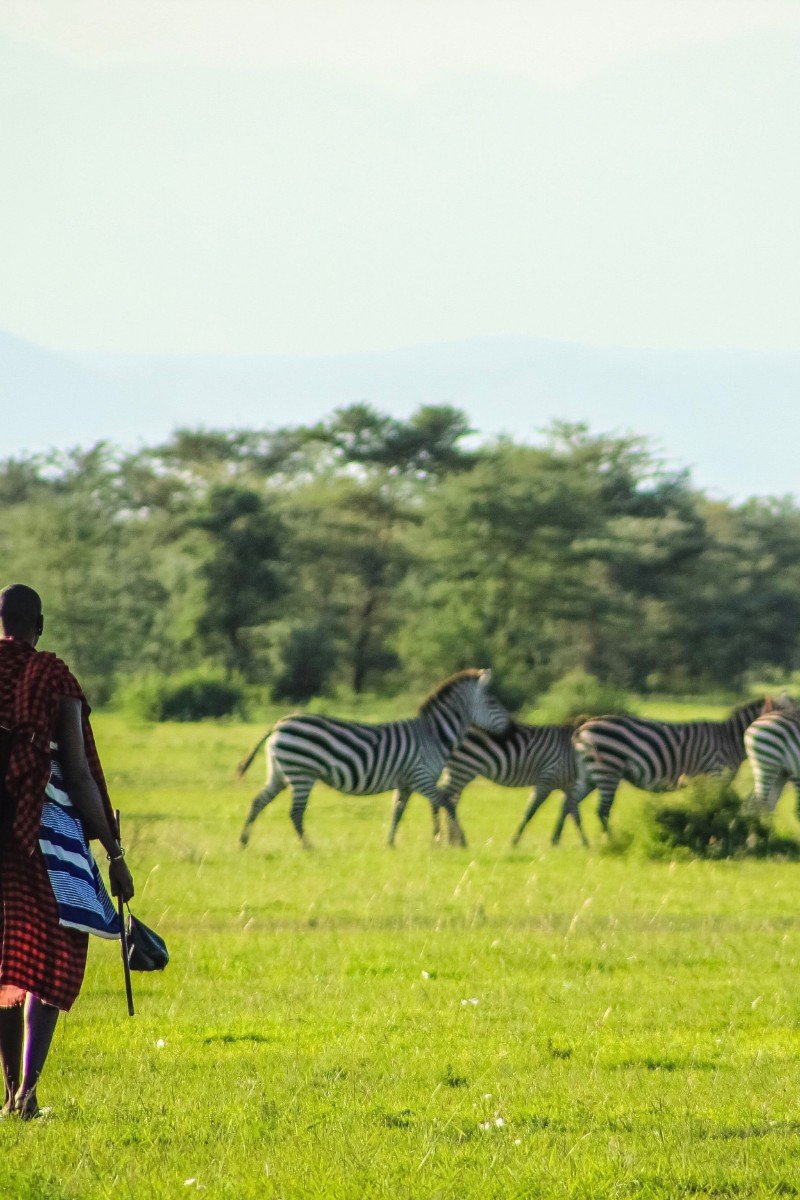 Walking Safaris