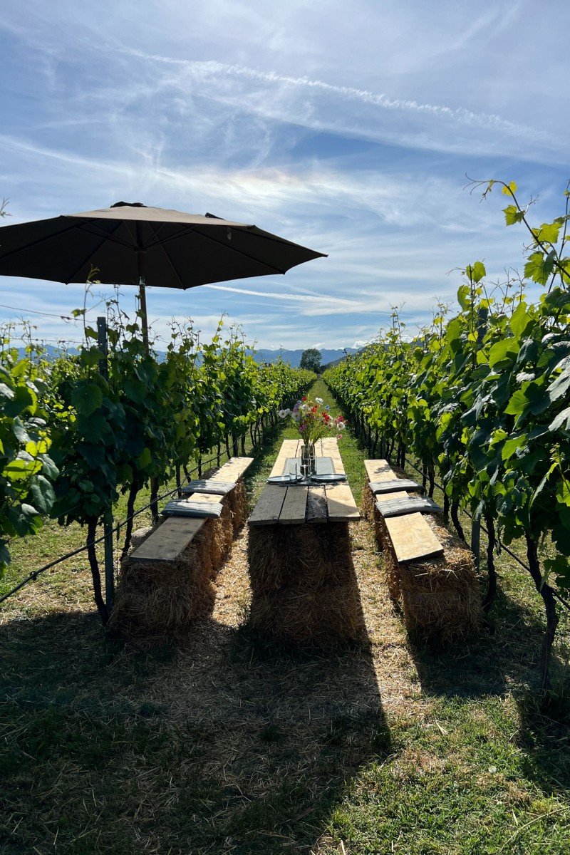 Wine & Culinary Journeys